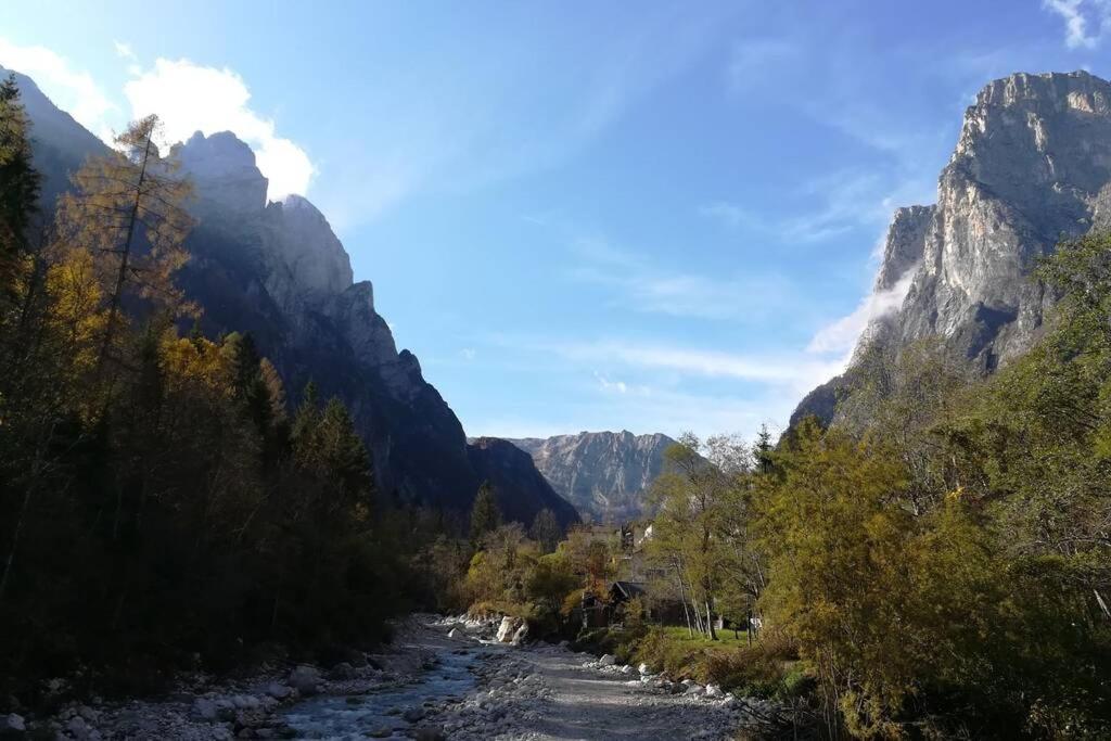 Sweet Dolomites, sauna e jacuzzi Agordo Esterno foto